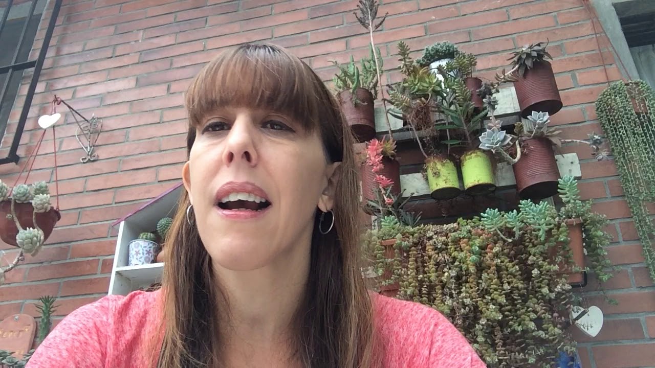 Cuento: ¡Cuidado con el perro! Capítulo 1 - YouTube