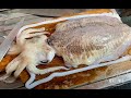 CUTTLEFISH How to clean & process  || quick & easy cuttlefish recipe