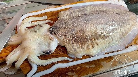 CUTTLEFISH How to clean & process  || quick & easy cuttlefish recipe