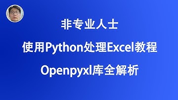 [程序员小飞]非专业人士使用Python处理Excel教程——openpyxl全解析（2020年）