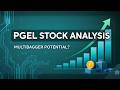 PGEL Stock Analysis: Is PG Electroplast a Multibagger? Investment Insights