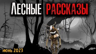 ЛЕСНЫЕ РАССКАЗЫ | Страшные истории