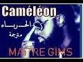 Maître Gims - Caméléon ( Paroles ) 