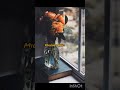 songs lyrics #love #subscribe #shortssong #shorts #song #new #viral #trending