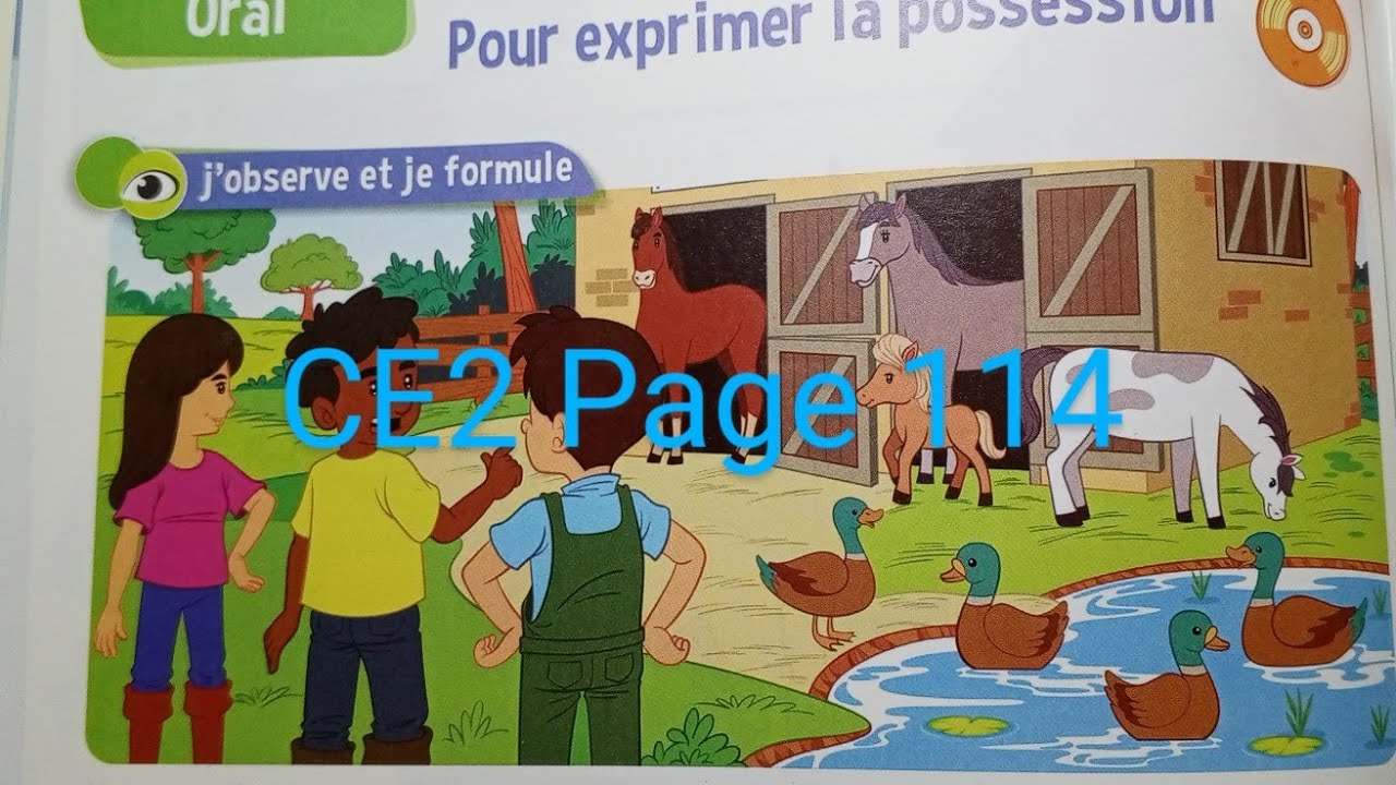 CE2 : Oral : Pour exprimer la possession . page 114 Le trésor des mots