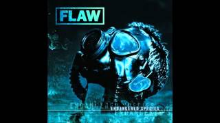 Flaw - Not Enough chords