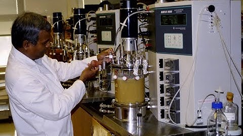 Batch Fermentation