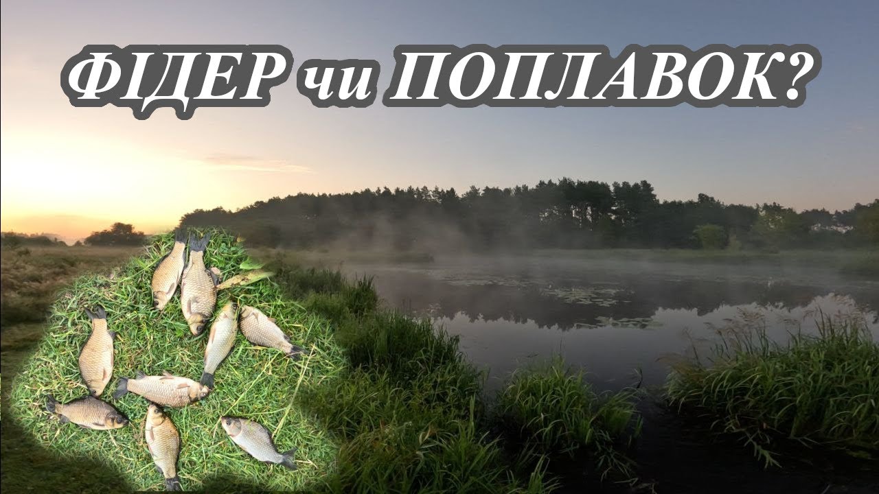 ФІДЕР чи ПОПЛАВОК ? | Спокійна ранкова рибалка при перших променях сонця ☀