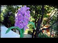 How to make a hyacinth flower with beads - Diy beaded hyacinth