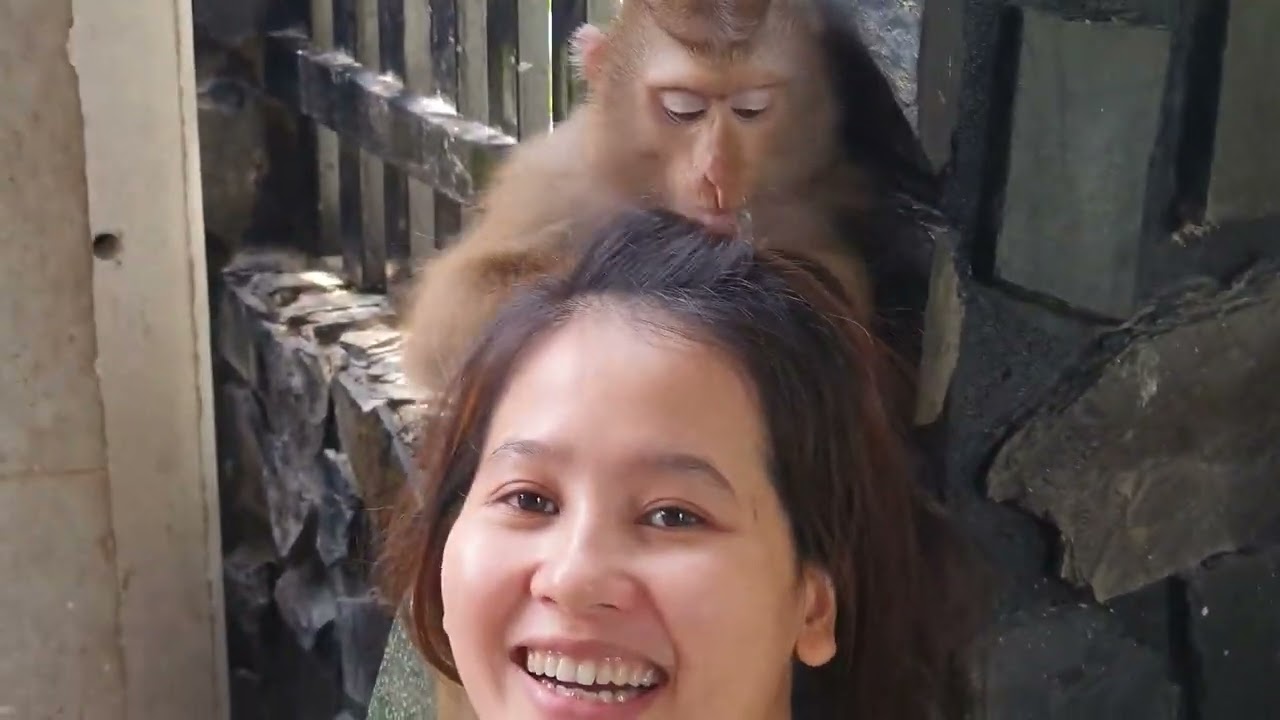 Monkey Baby Nui   Nui very good scalp care for mom flipped