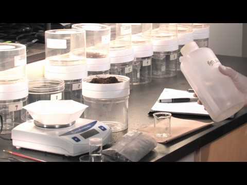It is Alive  - Fauna Collection - Nora