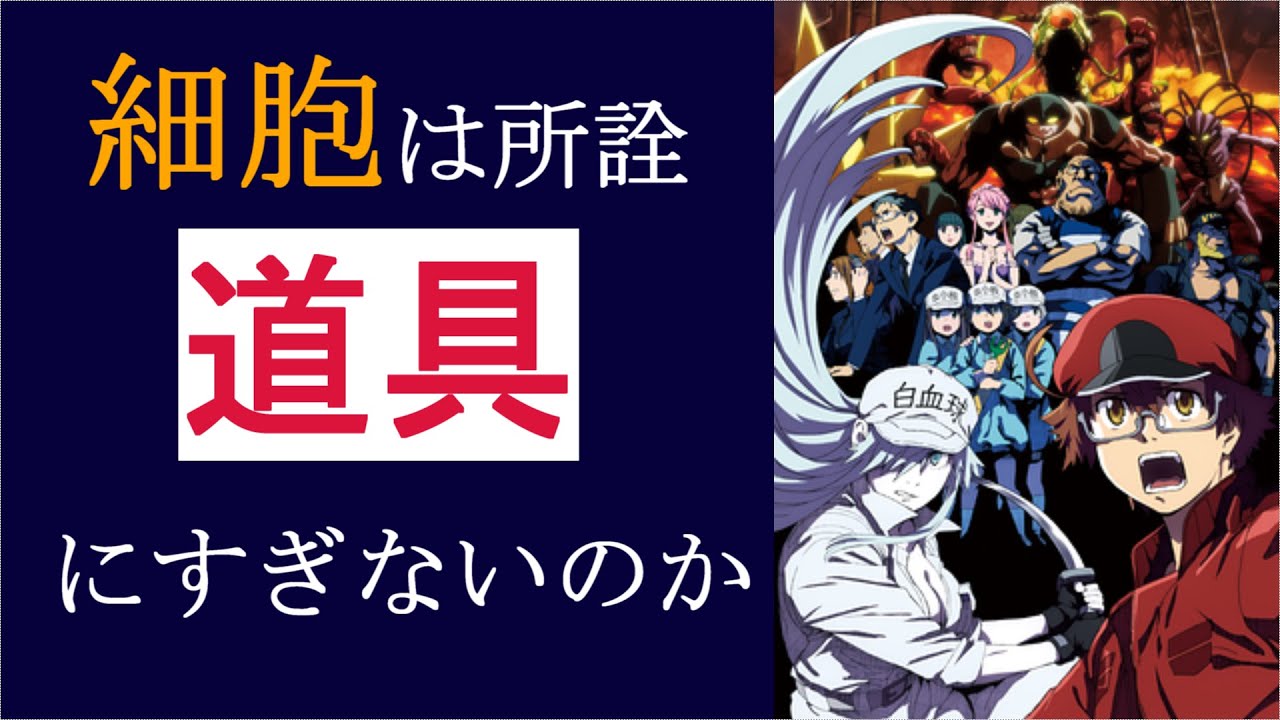 はたらく細胞black 働く意味とは アニメ感想 Anime Wacoca Japan People Life Style