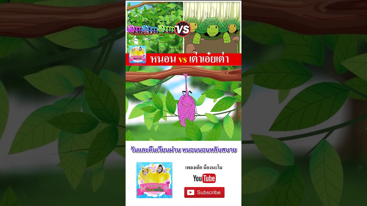 หนอน vs เต่า