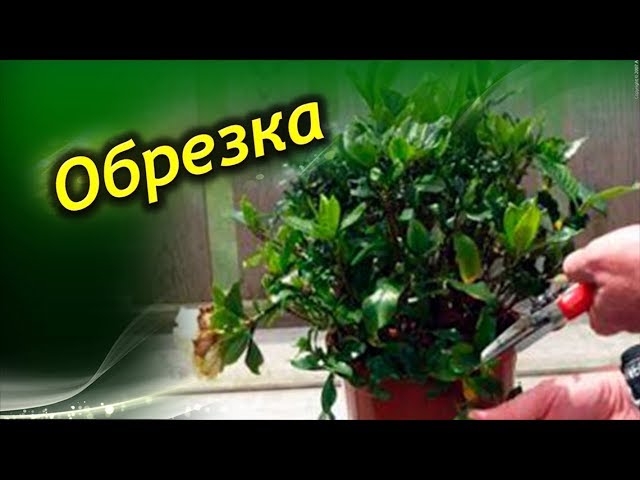 Как увеличить оперативную память на redmi