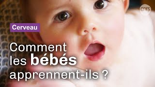 Dans la tête des bébés | Reportage CNRS