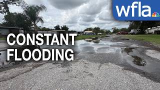'We have nothing to drain it through': Zephyrhills residents say flooding has become an ongoing issu