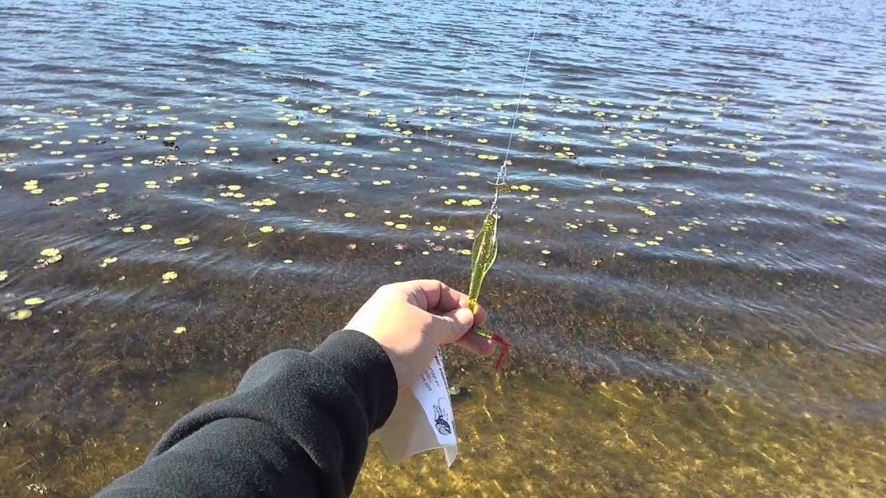 red alert lures salt shaker review YouTube