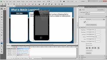 Rapid Tip: Inserting Images in Captivate