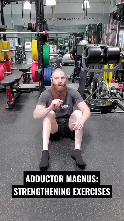 STRENGTHENING EXERCISES FOR THE ADDUCTOR MAGNUS MUSCLE!!! #Shorts - YouTube