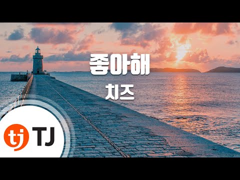 [TJ노래방] 좋아해(Bye) - 치즈 / TJ Karaoke
