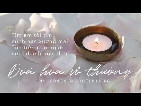 Video Tuyết Phượng - Đoá Hoa Vô Thường (Video Lyrics) | Nhạc... - youtube