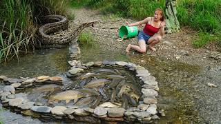 Famous How To Traps Fish in the Small Stream and Encounter a Giant Python #python Profile