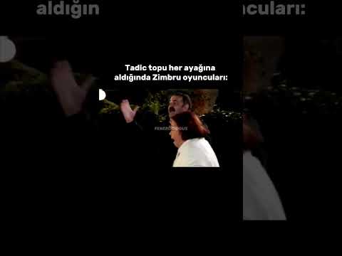 Tadic vs Zimbru