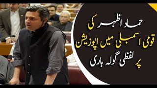 Hammad Azhar criticizes opposition in his speech in NA session