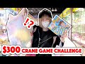 $300 Japan CRANE GAME CHALLENGE!!!