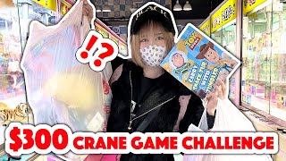 $300 Japan CRANE GAME CHALLENGE!!!