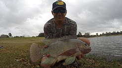 Tilapia fishing (Houston, Tx) 1080p HD
