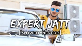 EXPERT JATT  Slowed Reverb new song #trending #viral #viralvideo #slowedandreverb #lofi #punjabi Resimi
