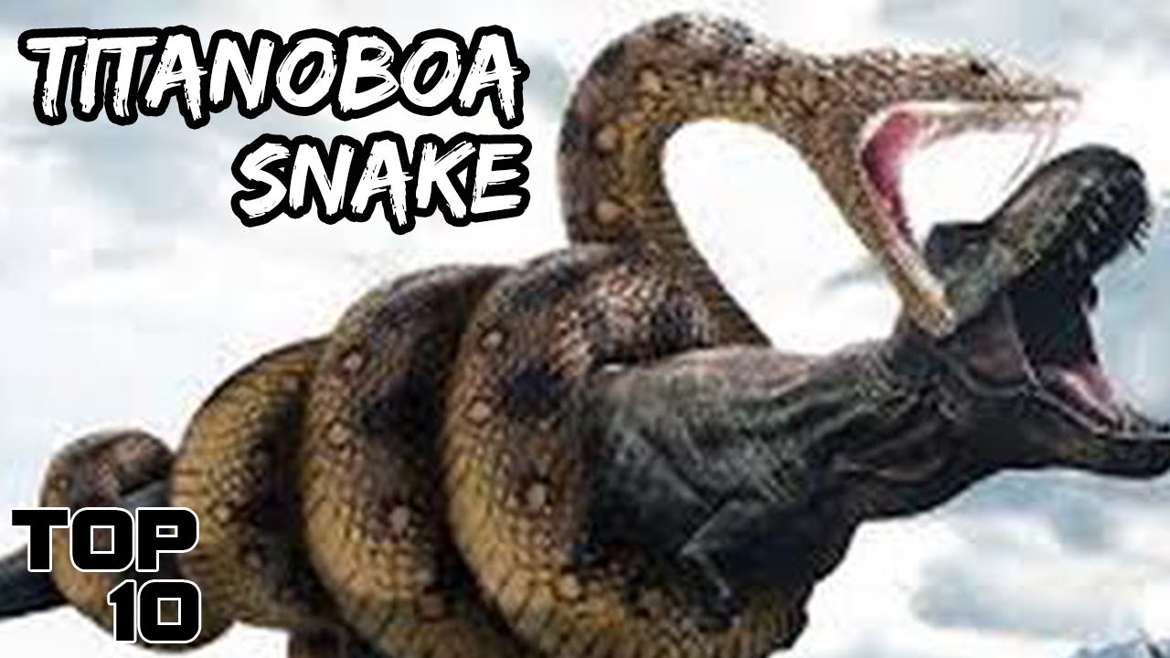 Top 10 Extinct Animals We SHOULD NOT Bring Back To Life | Marathon