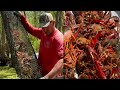 Crawfishing In The Atchafalaya Basin With Kip Barras ( Catch*Cook) Part 1