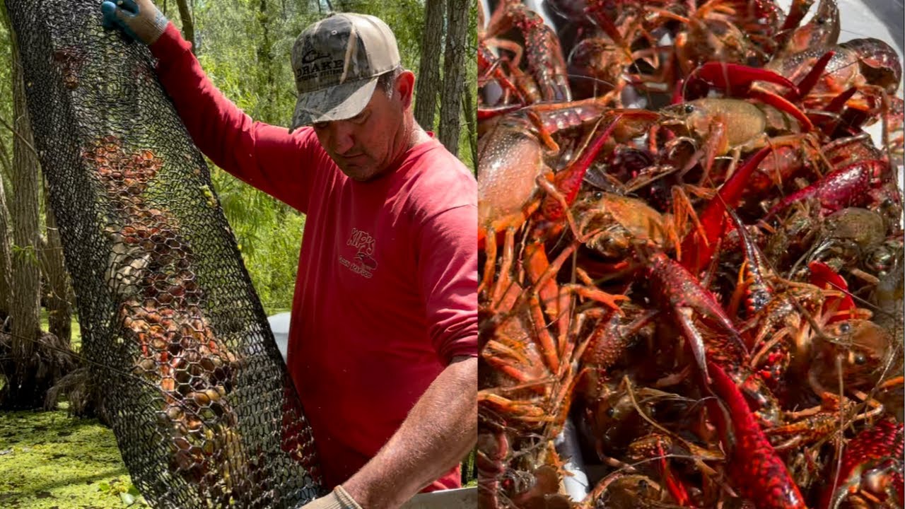 Crawfishing In The Atchafalaya Basin With Kip Barras ( Catch*Cook