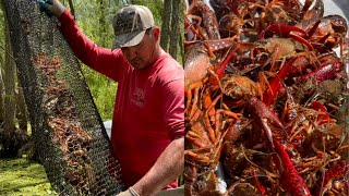 Crawfishing In The Atchafalaya Basin With Kip Barras ( Catch*Cook) Part 1