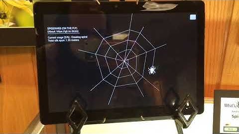 “Spiderweb (on the fly)” | JavaScript simulation