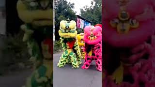 LiiOngXhi official #viral #dance