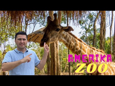 Video: ZSL London Hayvonot Bog'i Yillik Hayvonlar Vazniga Ega