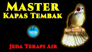 Download Lagu KAPAS TEMBAK BERJEDA TERAPI AIR MP3 Download Lagu KAPAS TEMBAK BERJEDA TERAPI AIR MP3