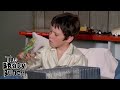 Bobby Brady Gets a Parakeet #BradyBunch | Now streaming on Paramount+