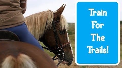 How to Train a Horse for Trail Riding