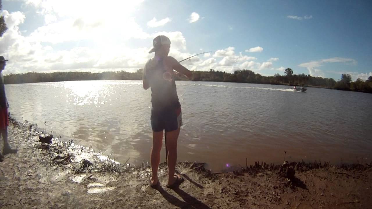 logan river bullshark fishing qld landbased - YouTube