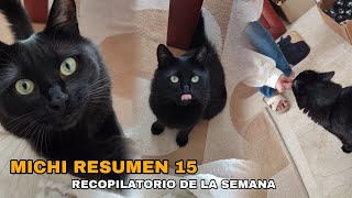 MICHI RESUMEN 15. Recopilatorio de la semana