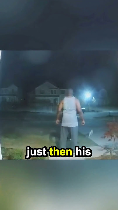 The doorbell camera captured the moment!