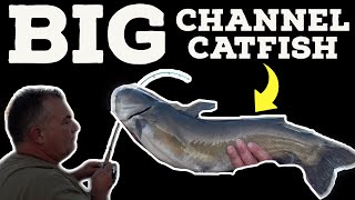 Demon Dragon Style Rattling Line Float for Santee Rig by Catfish Sumo