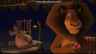 Madagascar - Cadelle Wild Scene Reversed