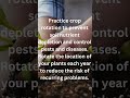 10 Tips to Garden on the Homestead