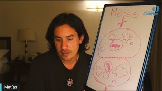 Día 324 - MITOSIS - Matias De Stefano - edición en español