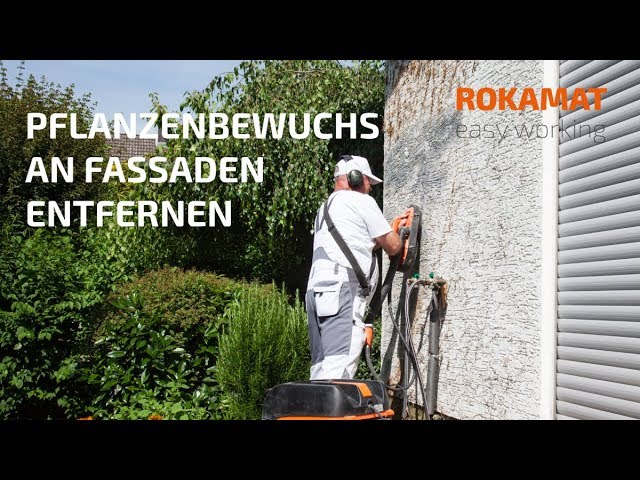 Pflanzenbewuchs an Fassaden entfernen, z. B. Efeu entfernen | ROKAMAT  CHAMELEON - YouTube